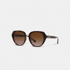 Black Women Coach Horse And Carriage Oversized Round Sunglasses | MY_CH93328