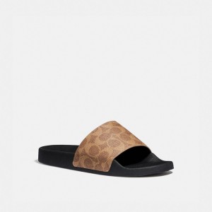 Brown Women Coach Udele Sport In Signature Sandals | MY_CH54183