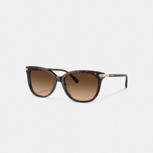 Brown Women Coach Wrap Around Hangtag Square Sunglasses | MY_CH66672