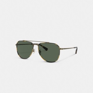 Gold Men Coach Metal Windsor Pilot Sunglasses | MY_CH25575