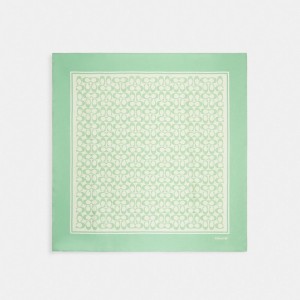 Green Women Coach Vintage Signature Print Silk Square Pale Pistachio Scarf | MY_CH22549