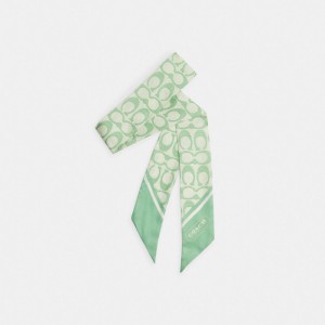 Green Women Coach Vintage Signature Print Silk Skinny Pale Pistachio Scarf | MY_CH68144