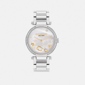 Grey Women Coach Cary 34 Mm Stainless Steel Watches | MY_CH24384