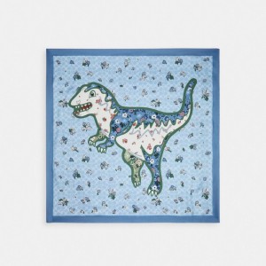 Multicolor Women Coach Floral Print Rexy Silk Square Scarf | MY_CH47179