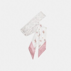Multicolor Women Coach Floral Print Silk Skinny Chalk Scarf | MY_CH94055