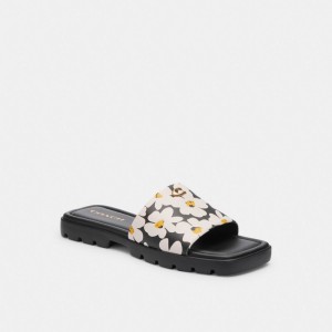 Multicolor Women Coach Florence With Floral Print Chalk Sandals | MY_CH89064