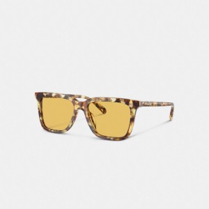 Orange Men Coach Signature Square Honey Sunglasses | MY_CH16705
