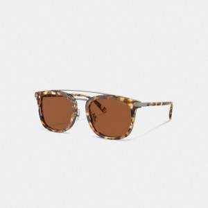 Orange Men Coach Wrap Around Hangtag Browbar Honey Sunglasses | MY_CH77864