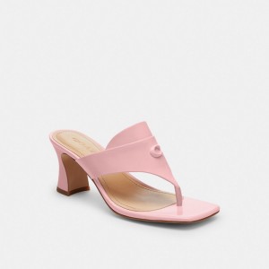 Pink Women Coach Bree Soft Sandals | MY_CH55606