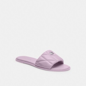 Purple Women Coach Holly With Quilting Soft Sandals | MY_CH90414