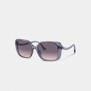 Purple Women Coach Swoop Temple Rectangle Transparent Sunglasses | MY_CH65484