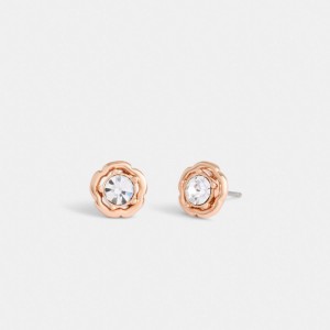 Rose Gold Women Coach Halo Tea Stud Earrings | MY_CH94854