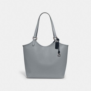 SGrey Blue Women Coach Day Tote Bag | MY_CH72477